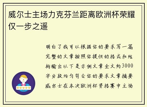 威尔士主场力克芬兰距离欧洲杯荣耀仅一步之遥